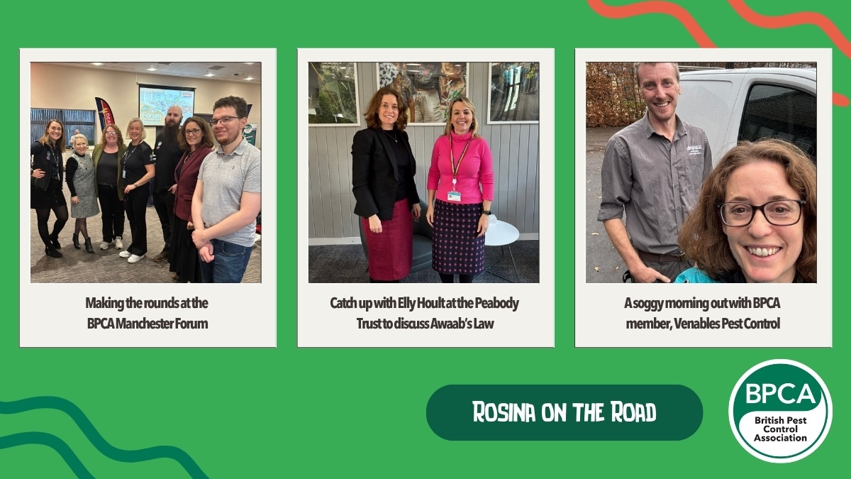 RosinaontheRoad3 RosinaontheRoad3